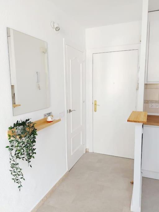 Nice Flat Close To The Centre مالقة المظهر الخارجي الصورة